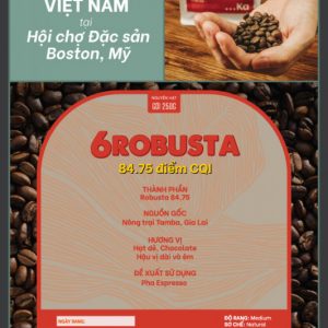 6Robusta