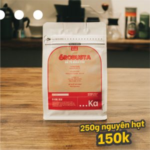 6Robusta