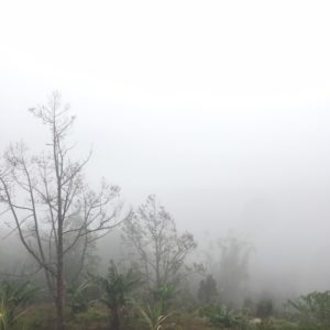 may farm
